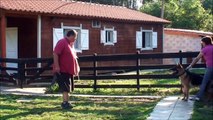 Iron da Festa da Hera - Pastor Alemão em Treino de Defesa Pessoal