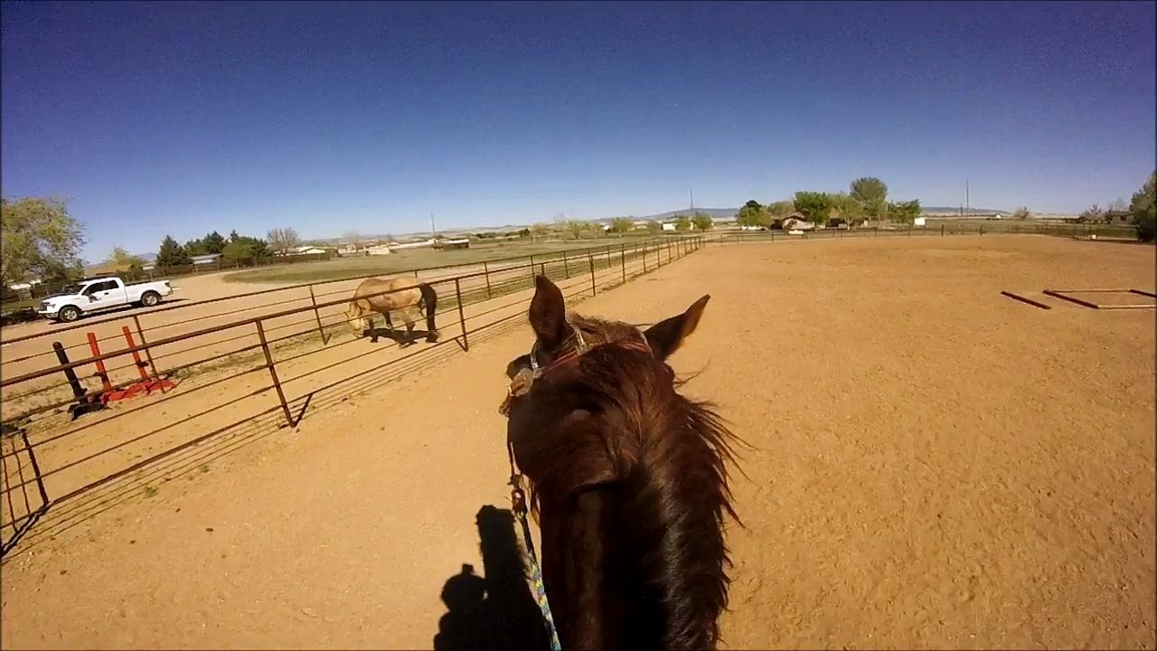 bareback galloping