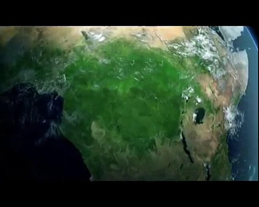 león VS águila