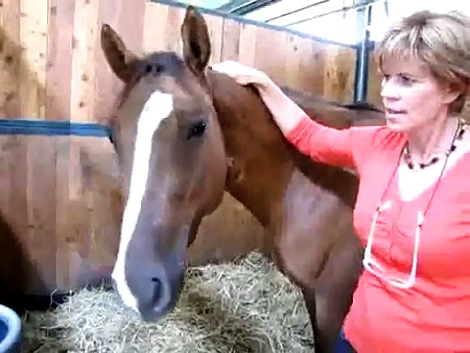 Isabelle Brel, fille de Jacques Brel, interview.