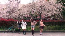 ℃-ute 桜チラリで 『桜チラリ』