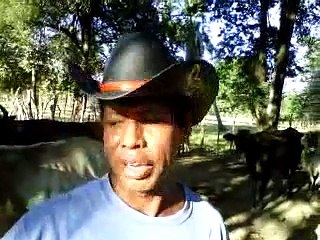 Punta Maldonado Vacas De Cuajinicuilapa Guerrero.3GP