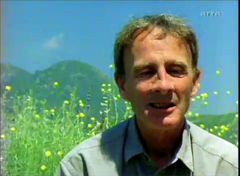 Chimpanzés dans le couloir de la mort - 4/6 - Chimps on death row