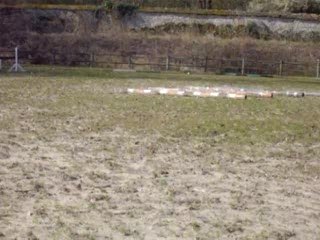 Elipse, galop en carrière n°2