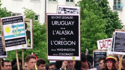 Cannabis et écrans de fumée