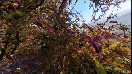 GTA V Editor Moto Montage [Camera Test]