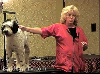 Grooming The "First Dog"... Portuguese Water Dog - Linda Easton, Groom Expo 2009