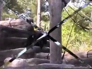 Our trip to Riverbanks Zoo in Columbia,SC