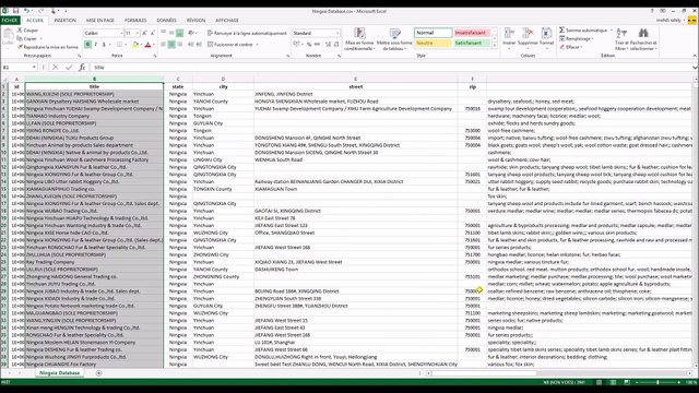 Fresh Business Emailing Database for China