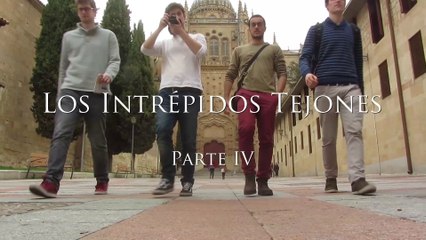 Salamanca 2015. Los intrépidos tejones