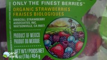 Organic strawberries, conventional strawberries and pesticides 3-14-2014 | Organic Slant