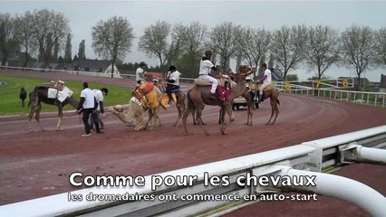 Première course de dromadaires à La Capelle