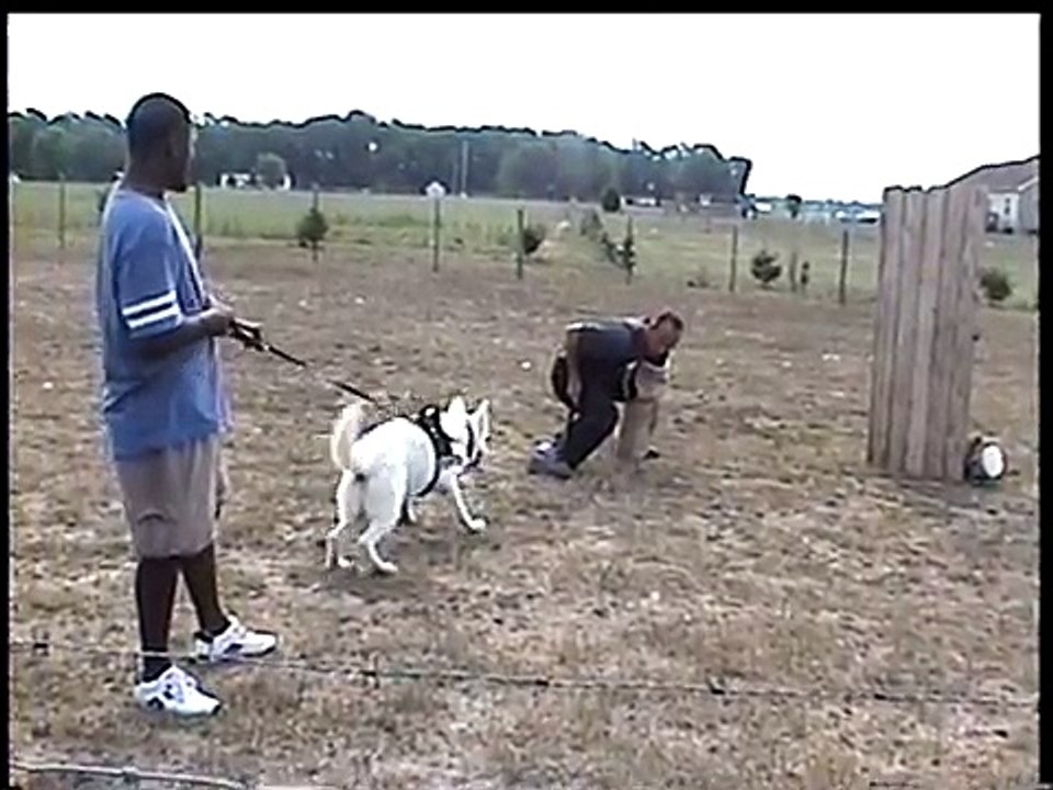 Bite Work