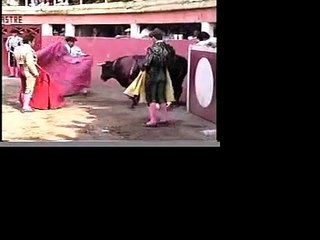 GRAPHIC -- Bullfighting Cruelty and Cowardice Exposed