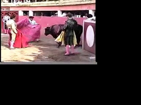 GRAPHIC Bullfighting Cruelty and Cowardice Exposed