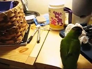 Gabriel Dances to Star Trek Voyager