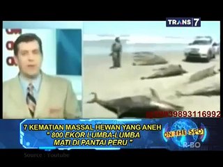 On The Spot - 7 Kematian Massal Hewan yang Aneh