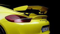 New Porsche Cayman GT4