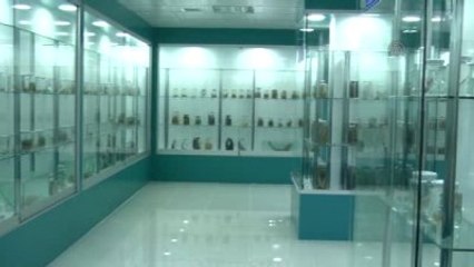 Tatlı Su Balıkları İçin Müze Kuruldu