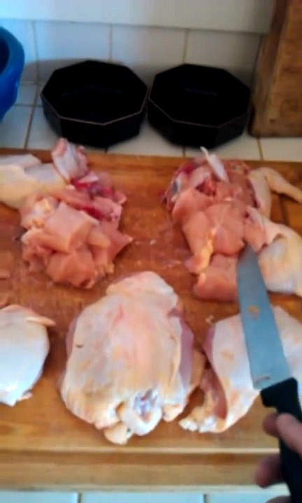 Feeding dogs on a raw food diet