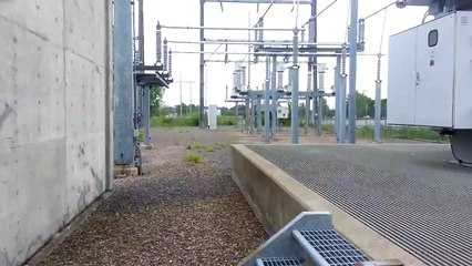 Nestlings in a power station