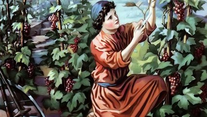 Père Philippe Hebert: La vigne et les sarments