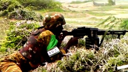 Somalia: Back from the brink