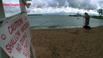 Man Comforts His Dying Dog  2012