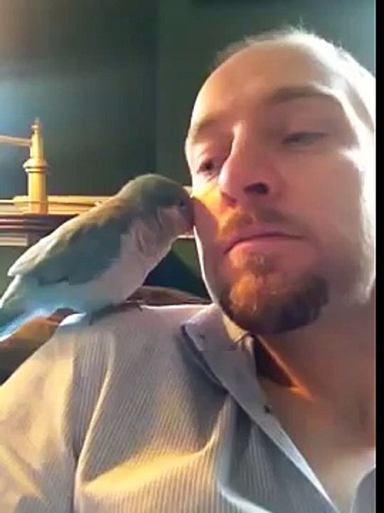 Baxter gives kisses
