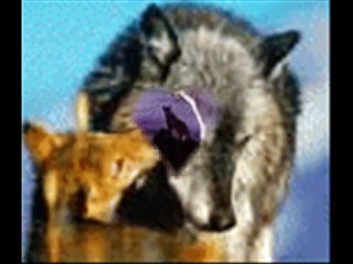 Frank Duval-Mystic Love