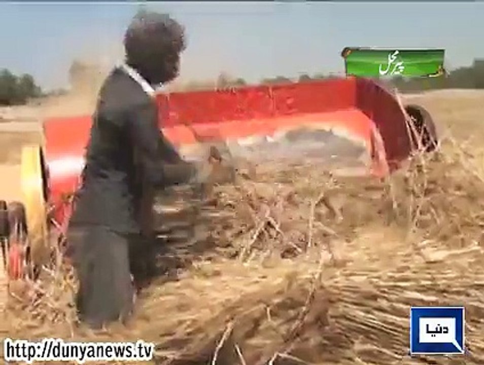 Dunya News - Pir Mahal- Farmers protest outside Health Department's office