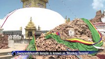 Archaeologists in Nepal catalogue destroyed 'Monkey Temple'