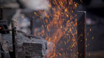 earthrise - Trees for Mozambique & Smart Farmers in Myanmar promo