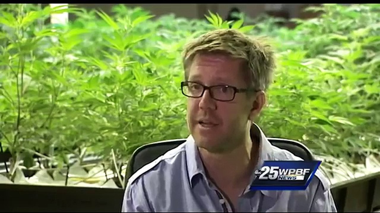 Medical marijuana inches way to legalization in Florida