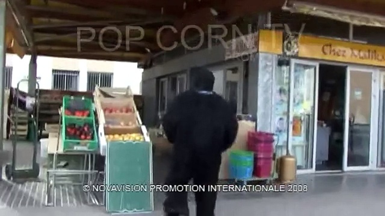 Hungry Gorilla