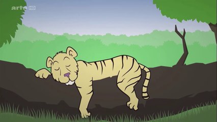 Les guérisseurs de la planète : Au secours des tigres