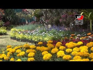 معرض زهور الربيع.. الورد يَغلب السياسة