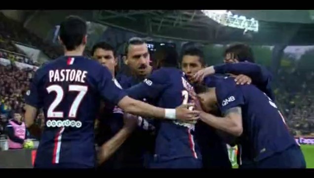 Edinson Cavani - Nantes 0-1 PSG - 03-05-2015