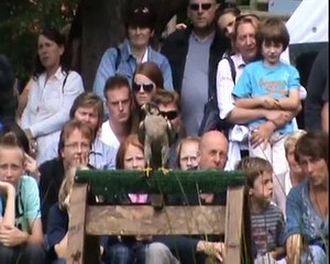 Xtreme Falconry at the Falconcrest Falconry Festival