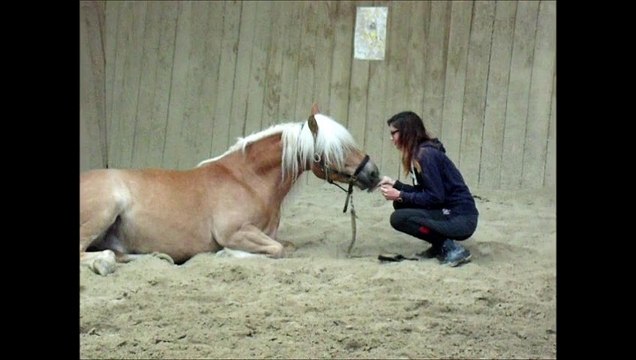 Mon kr, début du couchés sur demande♥