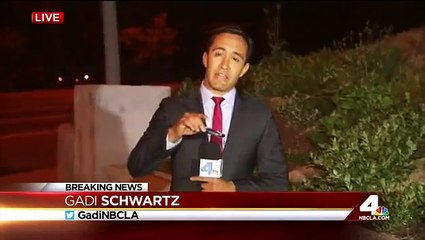 Another small earthquake jolts Los Angeles