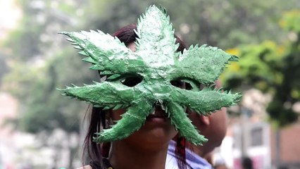 Colombia marcha a favor de la marihuana