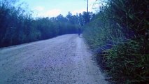 Mtb, 80 km, Trilha da Cachoeira dos Búfalos, Pindamonhangaba, SP, Brasil, Marcelo Ambrogi e os amigos, Equipe Sasselos Team nas trilhas da Serra da Mantiqueira, 01 de maio de 2015, (80)