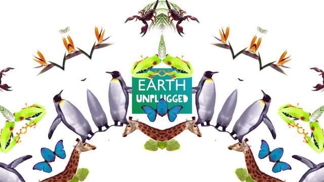 Grey Wolf vs Elk - Deadliest Showdown (Ep 2) - Earth Unplugged