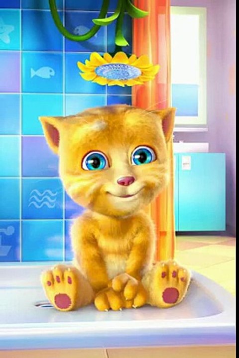 Funny cat in punjabi