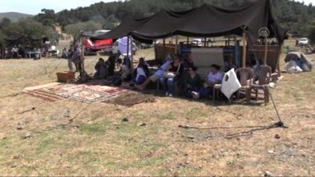Bodrum Pedasa Festivalinde Eşek Yarışlarına Yoğun İlgi