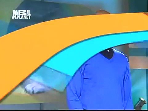 The Planet's Funniest Animals - Dog Jumping [HUNGARIAN DUB] HD