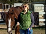 How to Train Your Horse to Lunge on a Line : How to Canter a Horse in Reverse on a Line
