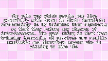 Why You Should Get Tree Trimming Knoxville TN Services