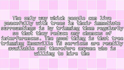 Why You Should Get Tree Trimming Knoxville TN Services